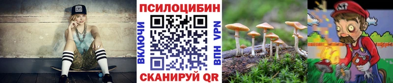 Псилоцибиновые грибы ЛСД закладка Чегем